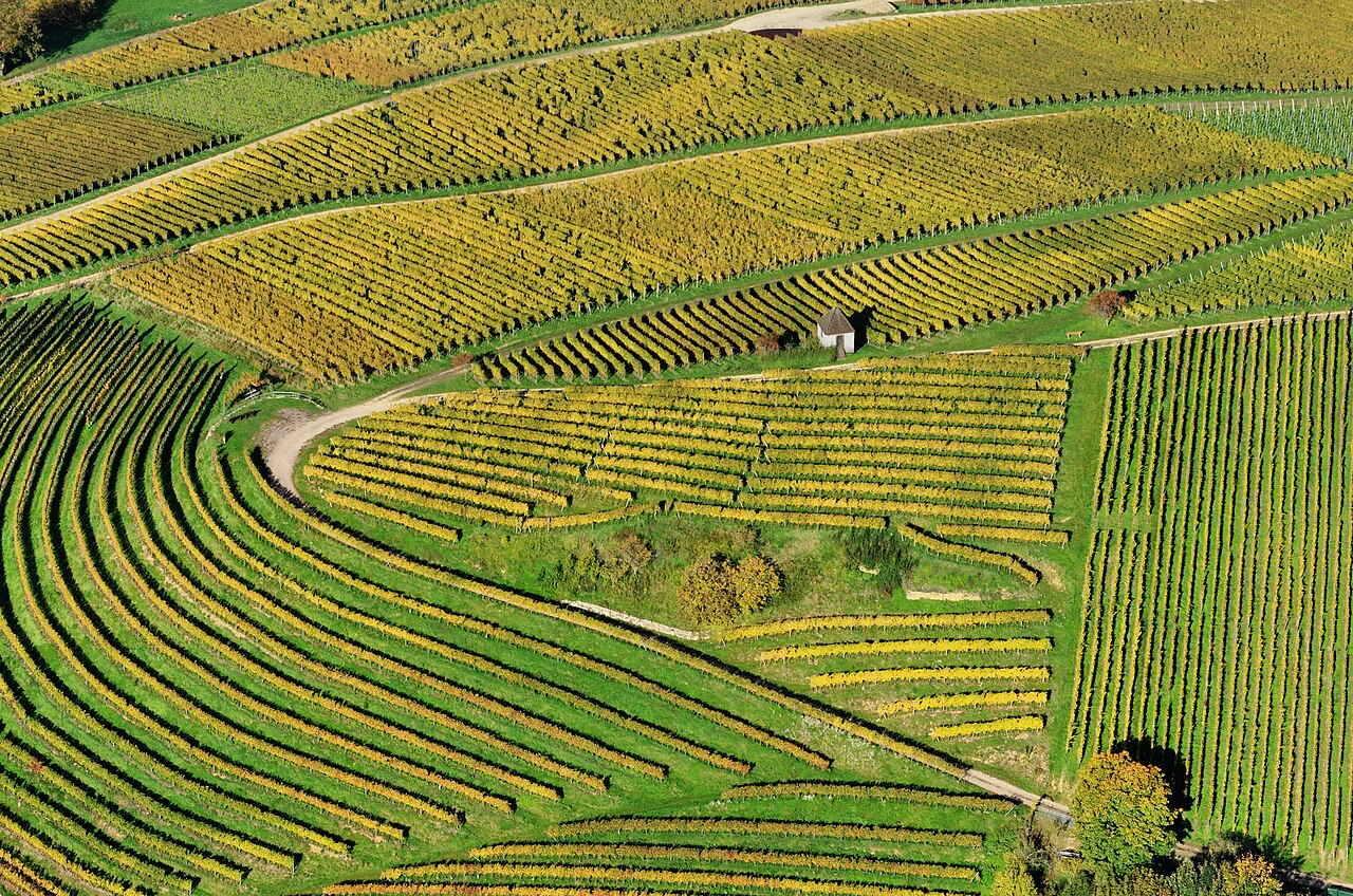 Markgräflerland