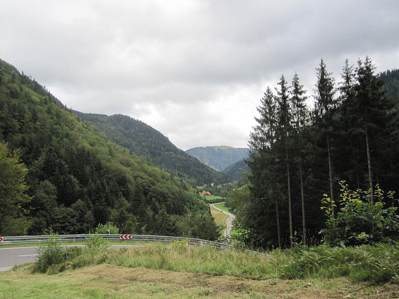 Black Forest